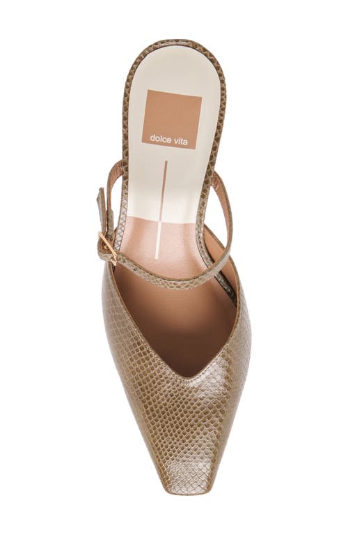 Dolce Vita Morgen Mary Jane Mule In Brown