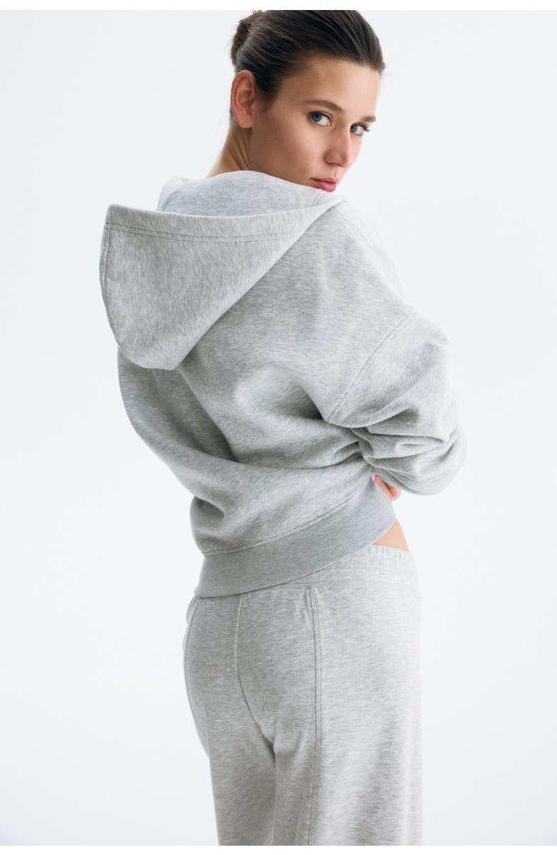 H&M Zip-through Hoodie, Alternate, color, Light Gray Melange