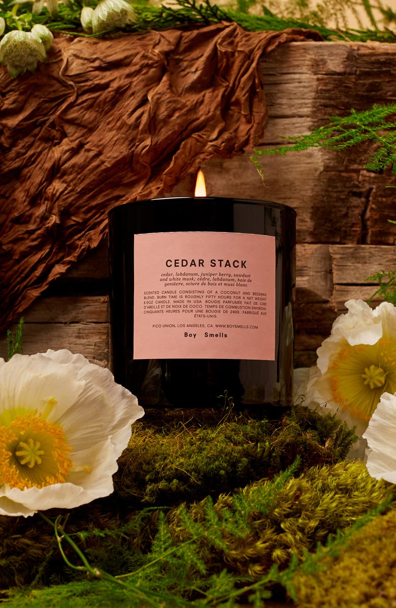 Boy Smells Cedar Stack Scented Candle, Alternate, color,
