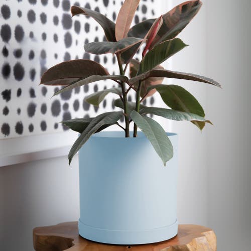 Bloem Mathers Planter W/ Saucer Tray 10" Misty Blue In Blue
