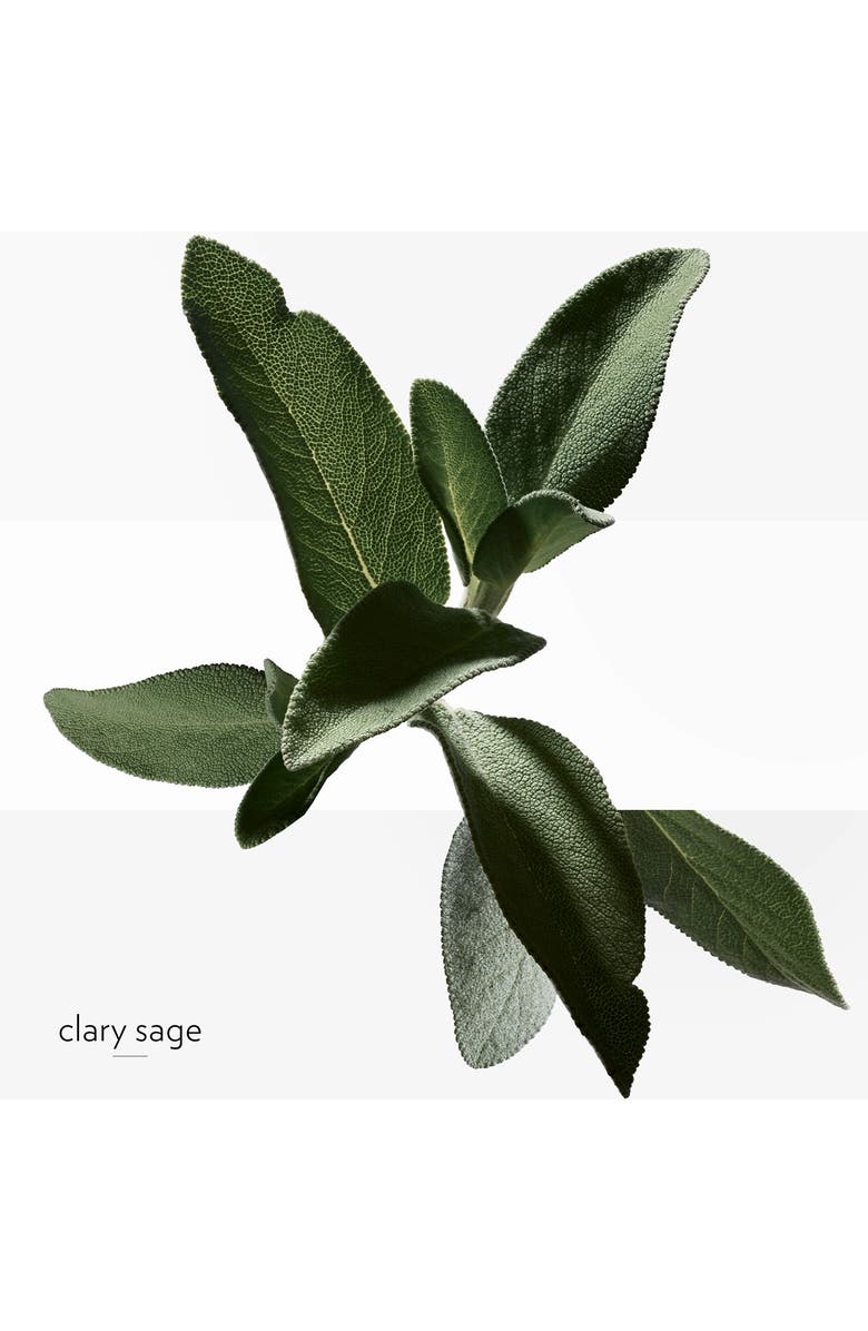 Hermès H24 Hydrating & Energizing - Face Moisturizer, Alternate, color, 