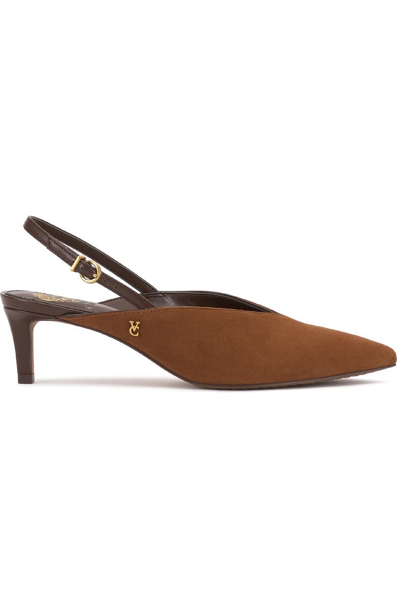 Vince Camuto Kylien Slingback Pointed Toe Pump, Alternate, color, Burnt Sugar