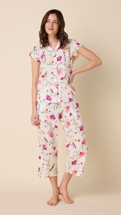 The Cat's Pajamas Luxe Pima Capri Set