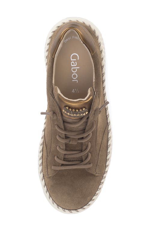 Gabor Low Top Sneaker In Animal Print