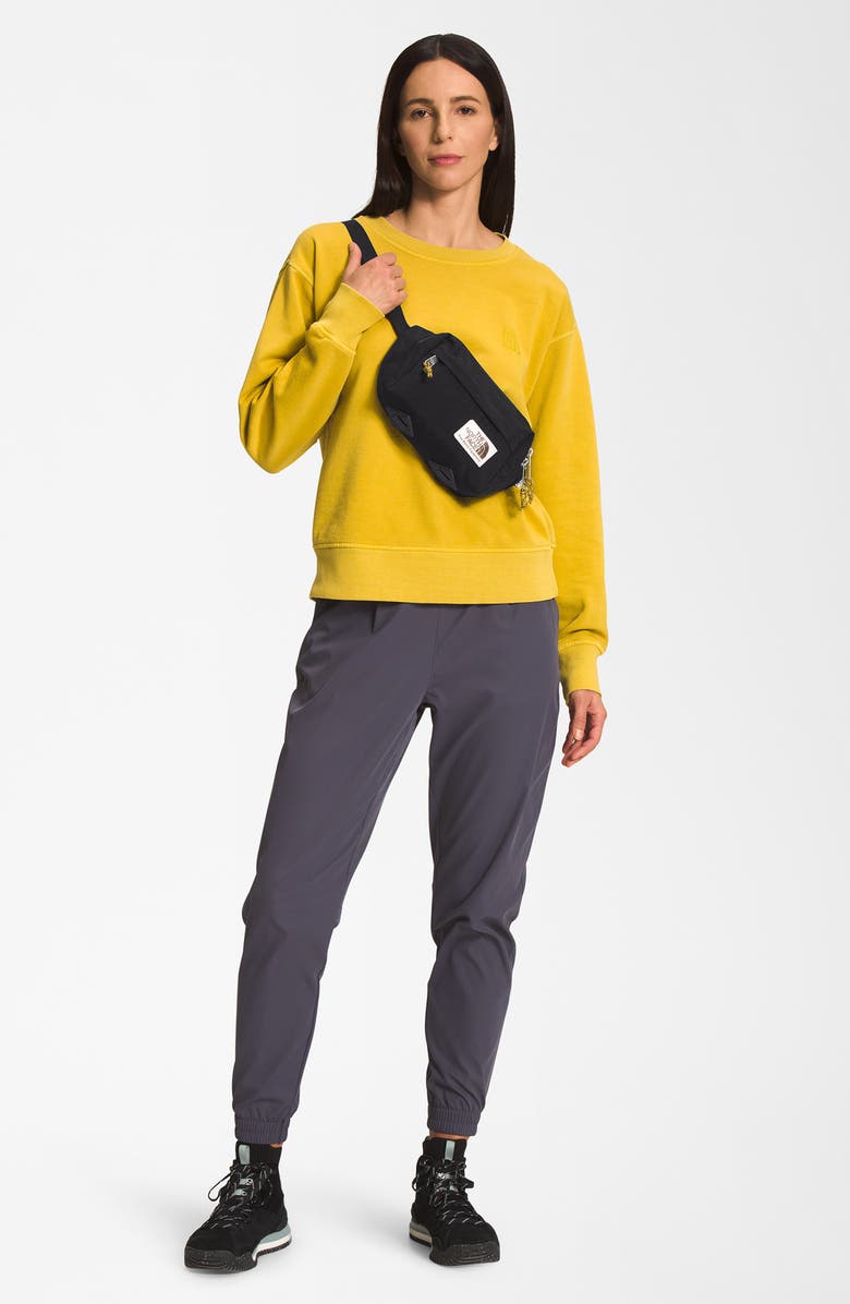 The North Face Berkeley Lumbar Water Repellent Recycled Nylon Belt Bag ...