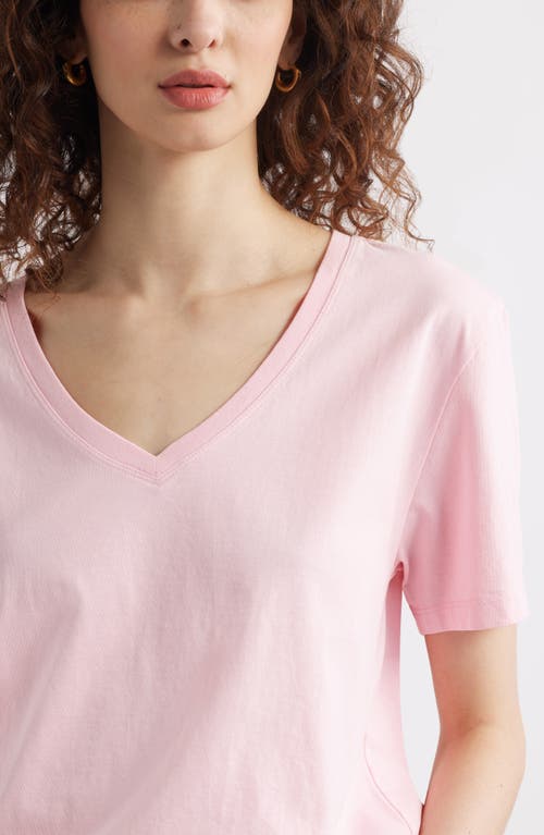 Treasure & Bond Core Cotton V-neck T-shirt In Pink Coral