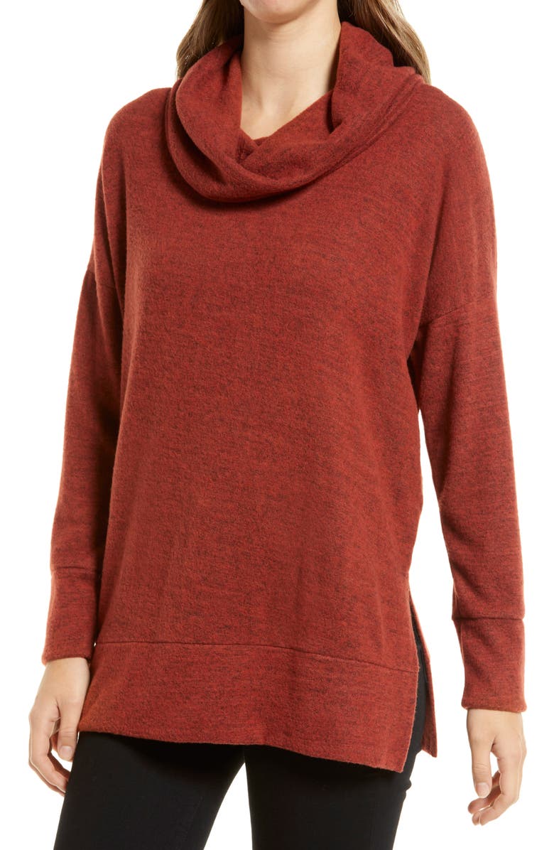 Loveappella Cowl Neck Long Sleeve Top, Main, color, Rust