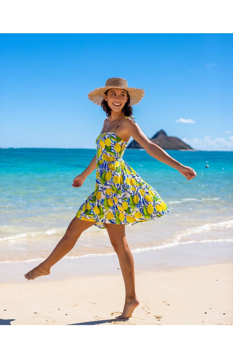 Kenny Flowers The Positano - Mini Resort Dress, Alternate, color, White