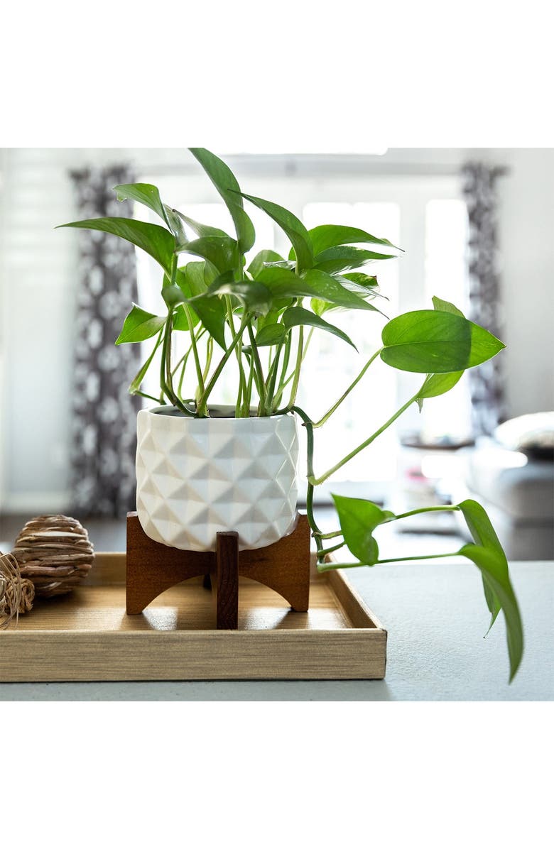 FLORA BUNDA Matte White Ceramic Dimple Pattern on Wood Stand, Alternate, color, 