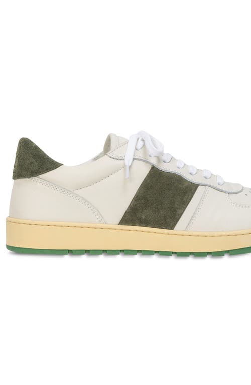 Collegium Pillar Destroyer Low Top Sneaker In Multi