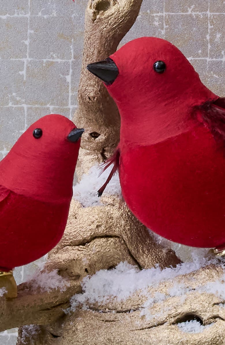 Balsam Hill Red Feathered Flock Ornament Set, Alternate, color, Red