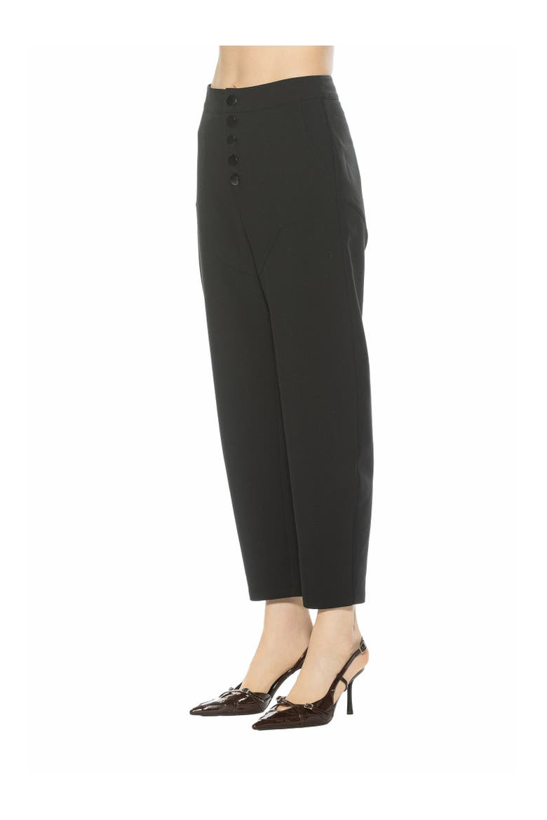 Hollis Barrel Pants, Alternate, color, Black