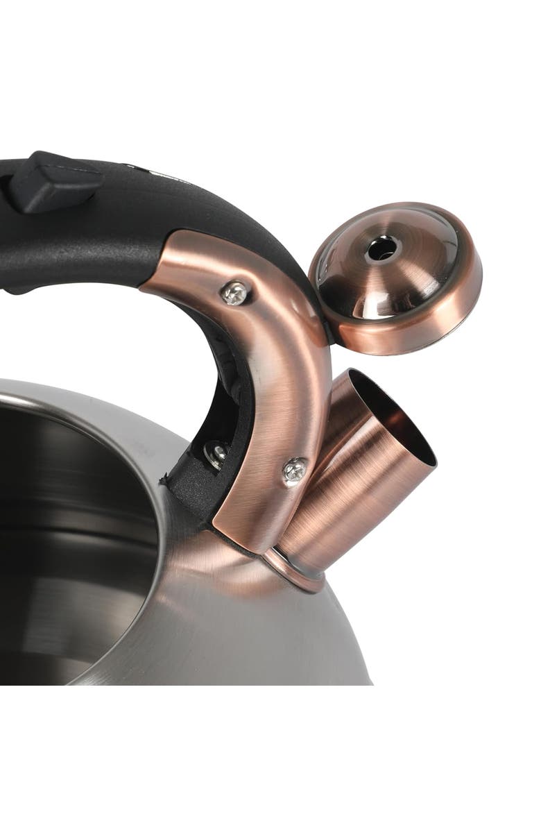 Mr. Coffee Flintshire 2.2 Quart Stainless Steel Whistling Tea Kettle W/ Nylon Handle, Alternate, color, Metallic Silver