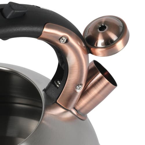 Mr Coffee Mr. Coffee Flintshire 2.2 Quart Stainless Steel Whistling Tea Kettle W/ Nylon Handle In Silver