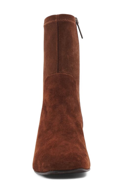 Aquatalia Stassi Water Repellent Bootie In Brown