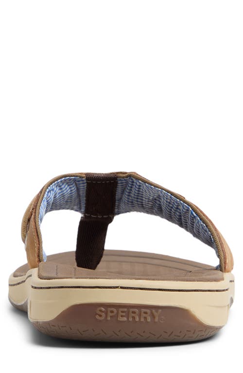 Sperry Baitfish Flip Flop In Tan Suede