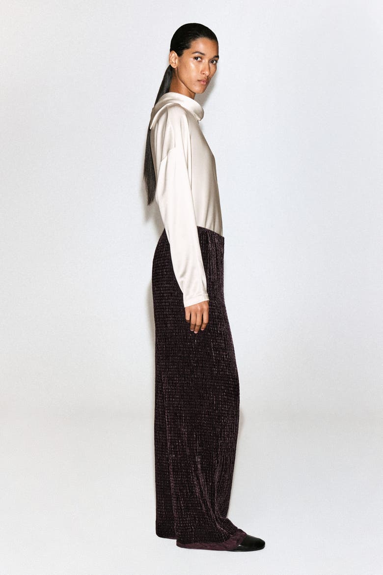 Plissé Velvet Pants, Alternate, color, CHOCOLATE