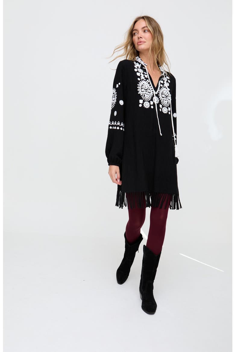 Katie Fringe Embroidered Mini Dress, Alternate, color, Black