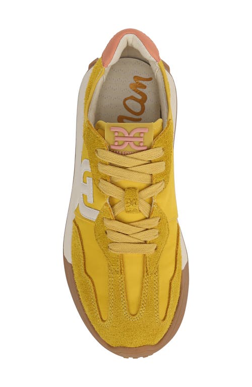 Shop Sam Edelman Langley Sneaker In Saffron Yellow/cream