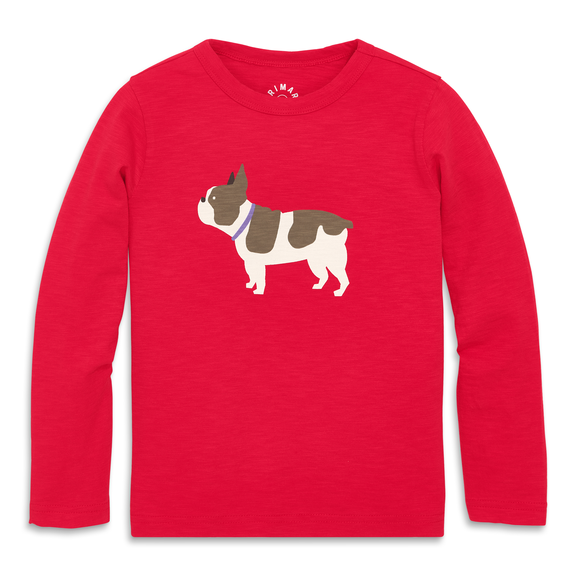 selected Lollipop Frenchie