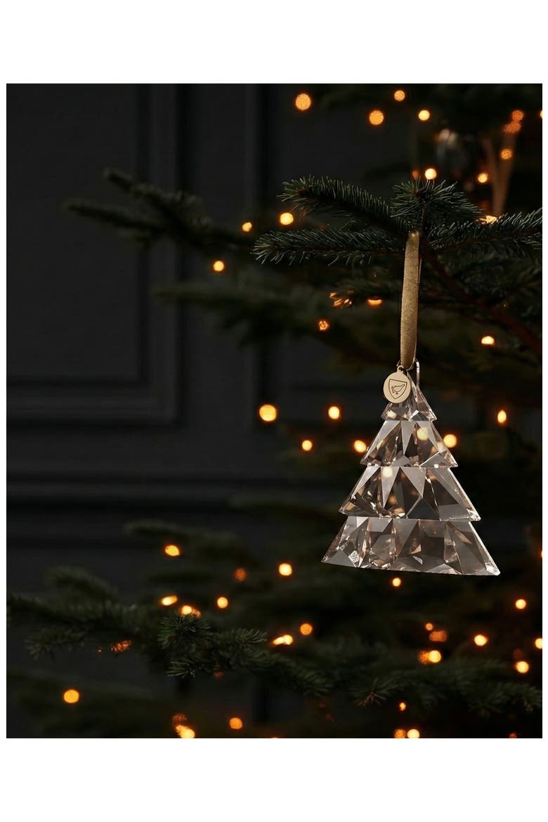 2026 Annual Christmas Tree Ornament, Alternate, color, CLEAR