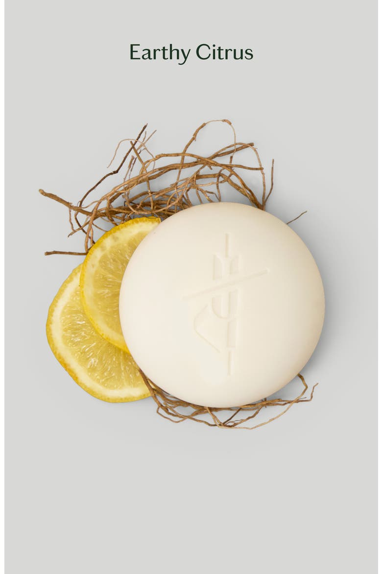 Grounding Stone - Moisturizing Lotion Bar with Vetiver & Bergamot, Alternate, color, REFILL