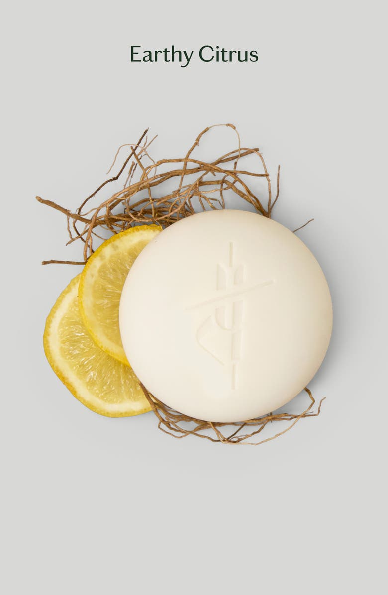 Kate McLeod Grounding Stone - Moisturizing Lotion Bar with Vetiver & Bergamot, Alternate, color, Starter Kit