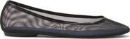 Lanvin The Ballerina Flat In Mesh