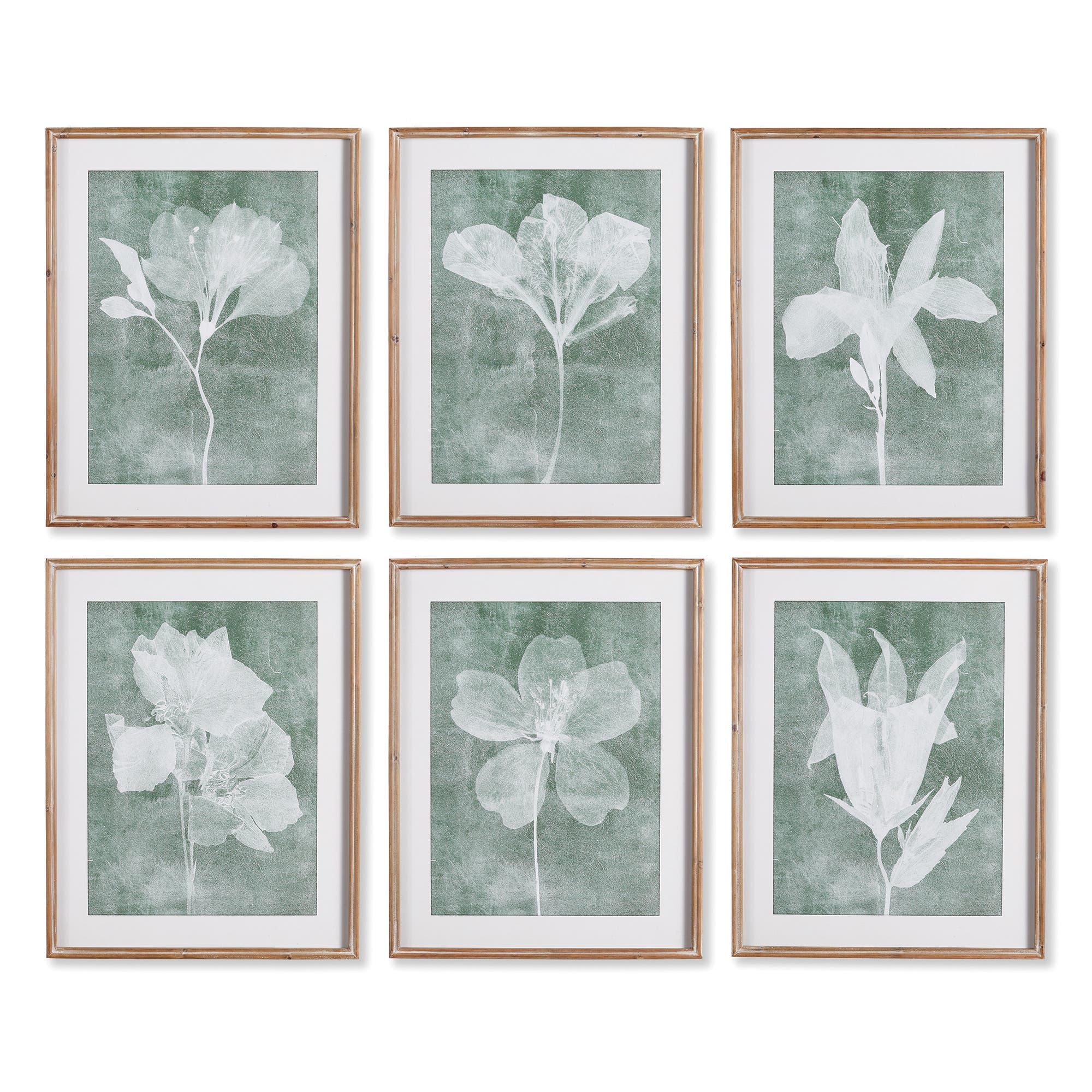 Napa Home & Garden Translucent Floral Prints Set Of 6 In Blue