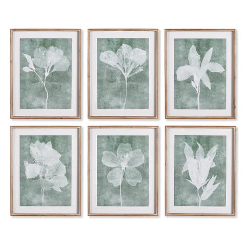 Translucent Floral Prints Set of 6
