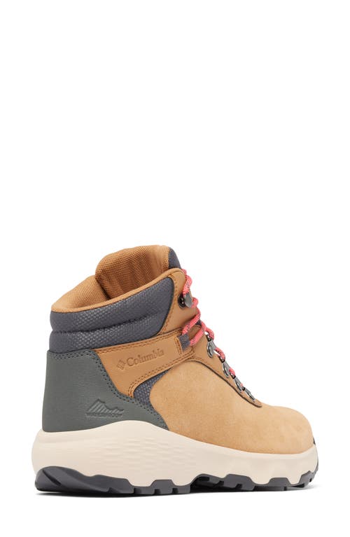 Columbia Newton Wander™ Waterproof Hiking Boot In Elk/sunset Red