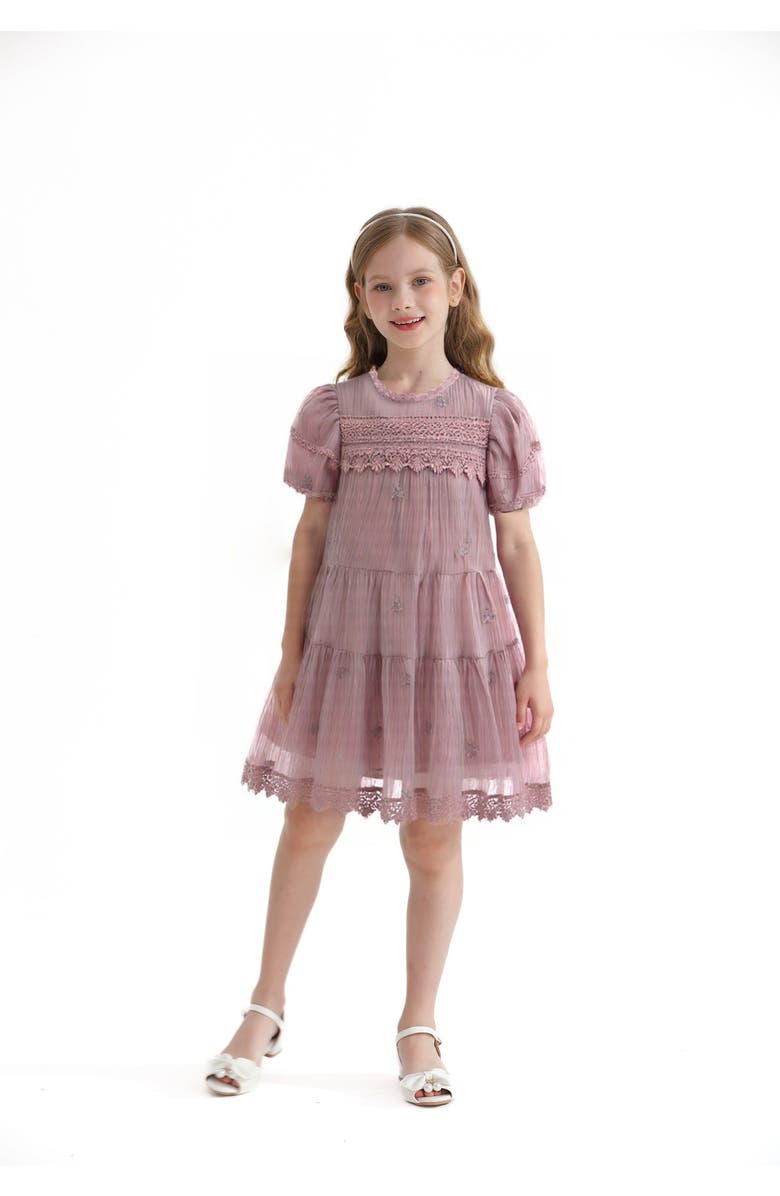 Sweet Cactus Lace Lined Bailey Dress, Main, color, Pink