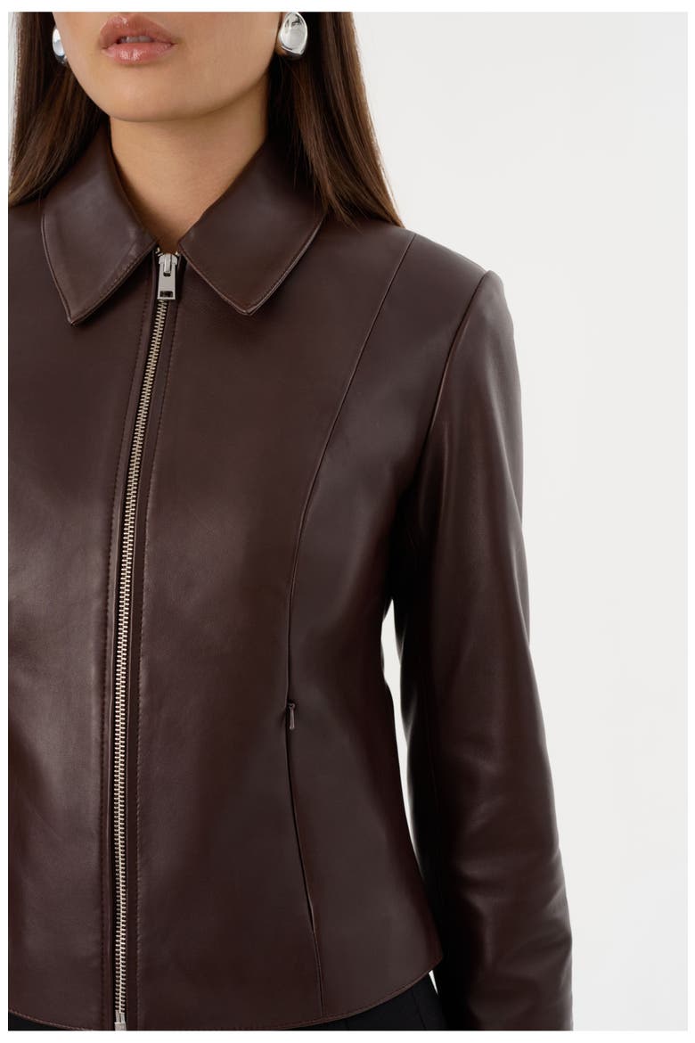 Oceana | Fitted Leather Jacket, Alternate, color, Mahogany