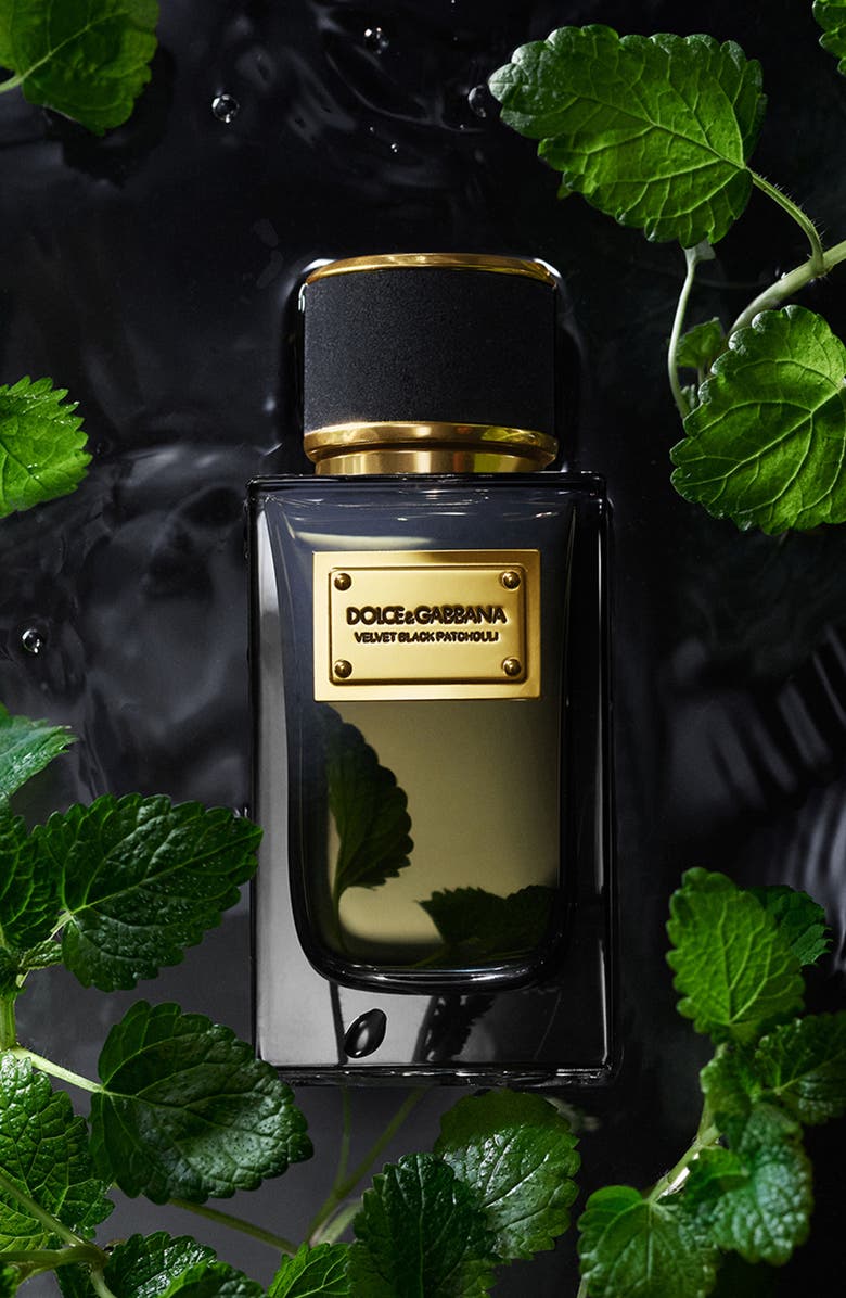 Dolce&Gabbana Velvet Black Patchouli Eau de Parfum, Alternate, color, 