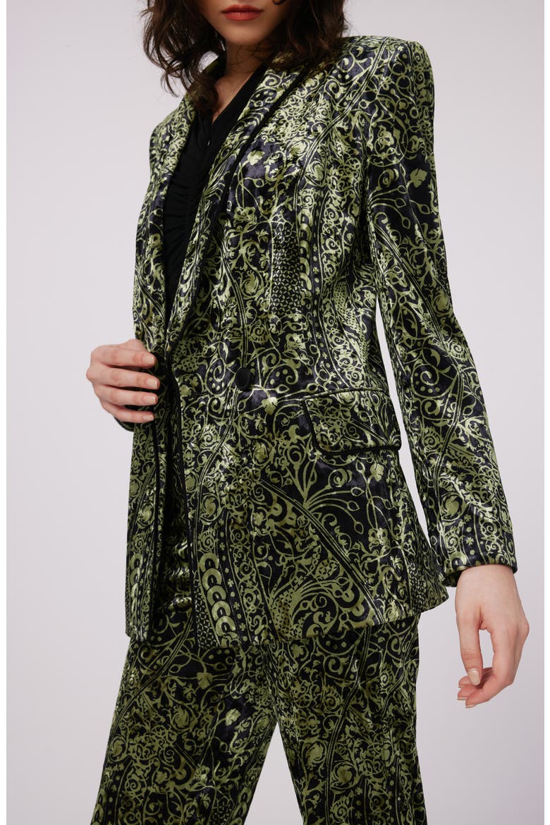 Chiana Paisley Velvet Jacket, Alternate, color, LACED UP
