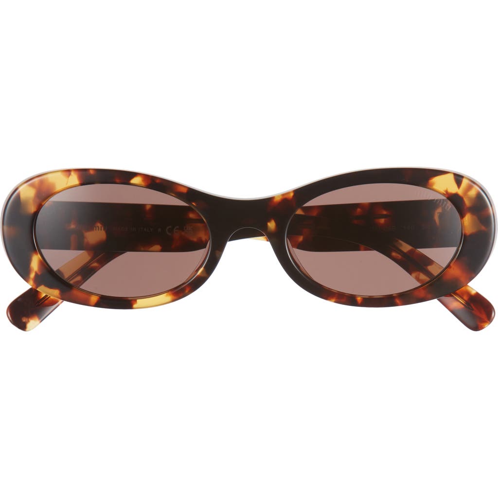 Miu Miu 50mm Oval Sunglasses in Havana  product