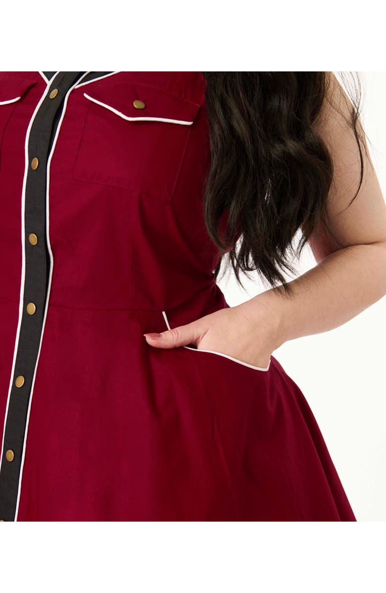 Unique Vintage Plus Size Western Flare Dress, Alternate, color,