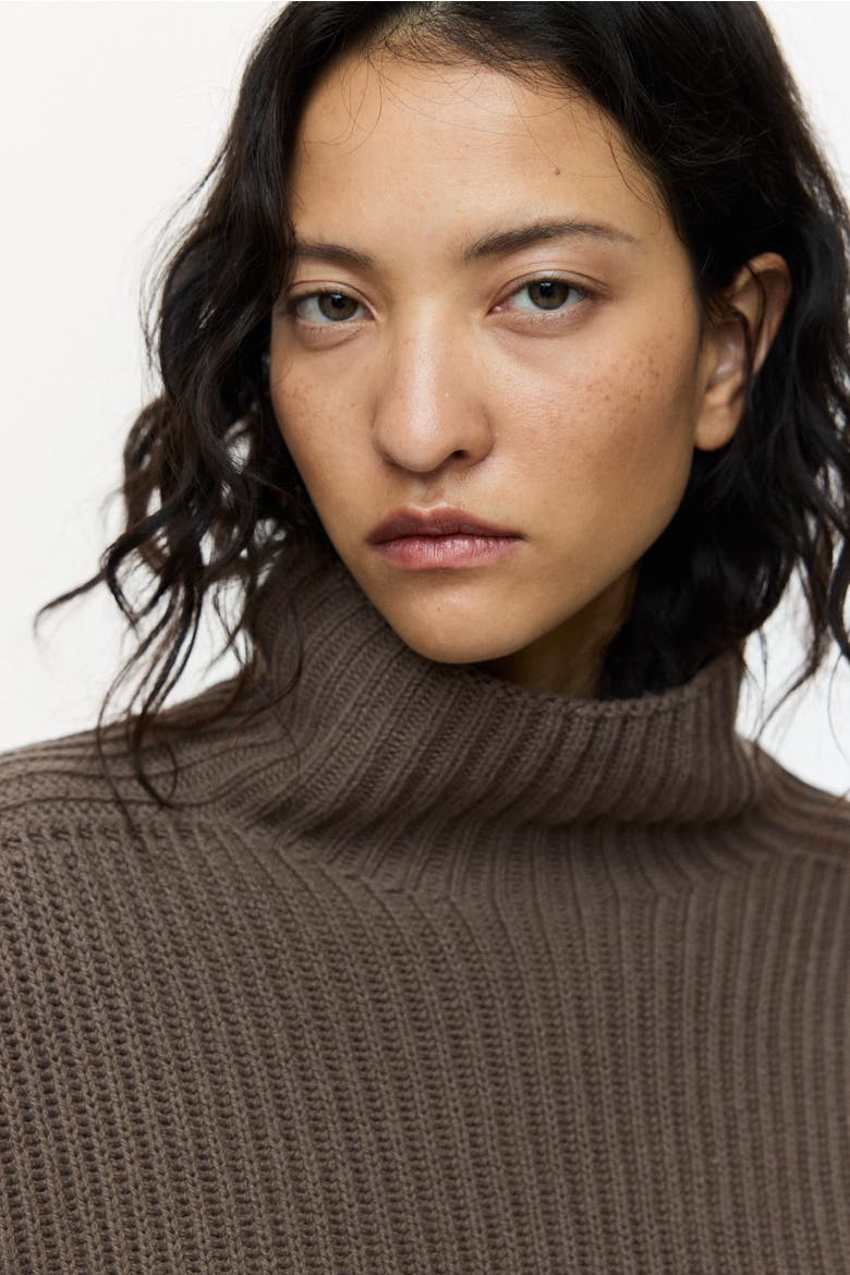 Rib-knit Wool-blend Jumper, Alternate, color, Dark taupe