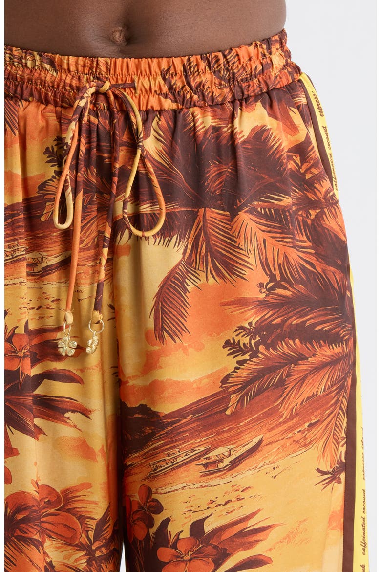 Drawstring Cover-Up Resort Pants, Alternate, color, VINTAGE VACAY