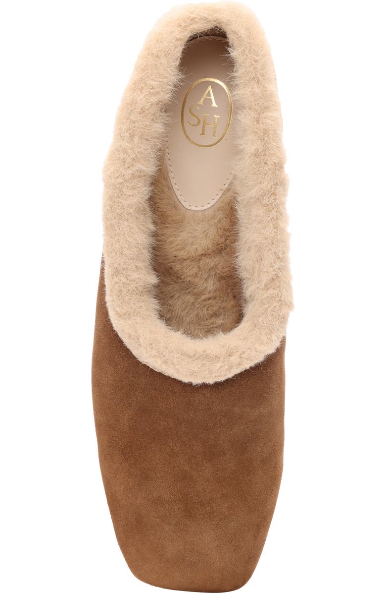 Ash Bianca Faux Fur Lined Ballet Flat, Alternate, color, Land