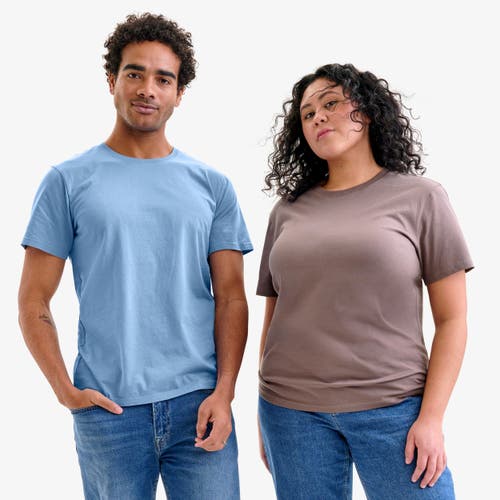 Primary Adult Classic Tee In Acorn