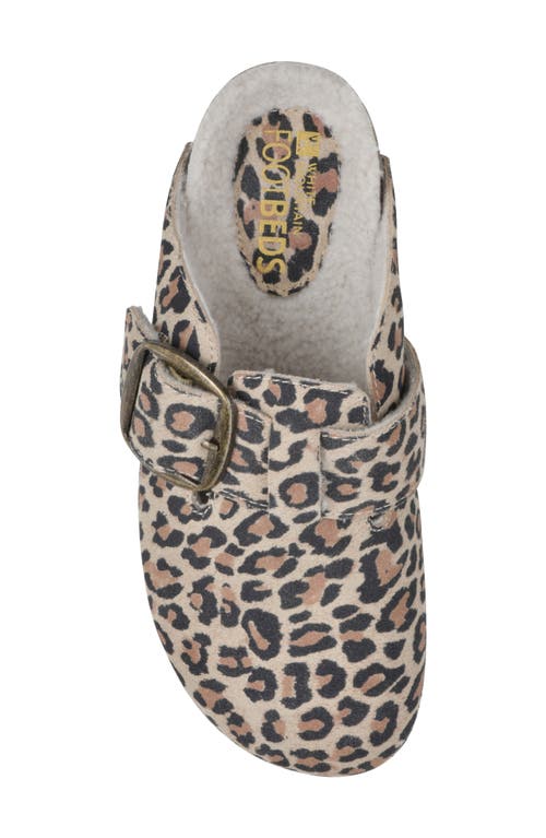 Cliffs By White Mountain Big Easy Buckle Mule In Multi