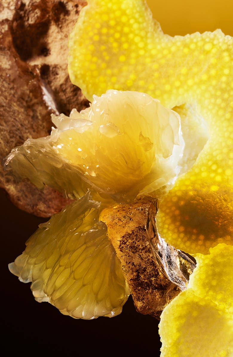 BVLGARI Le Gemme Tygar Eau de Parfum, Alternate, color,