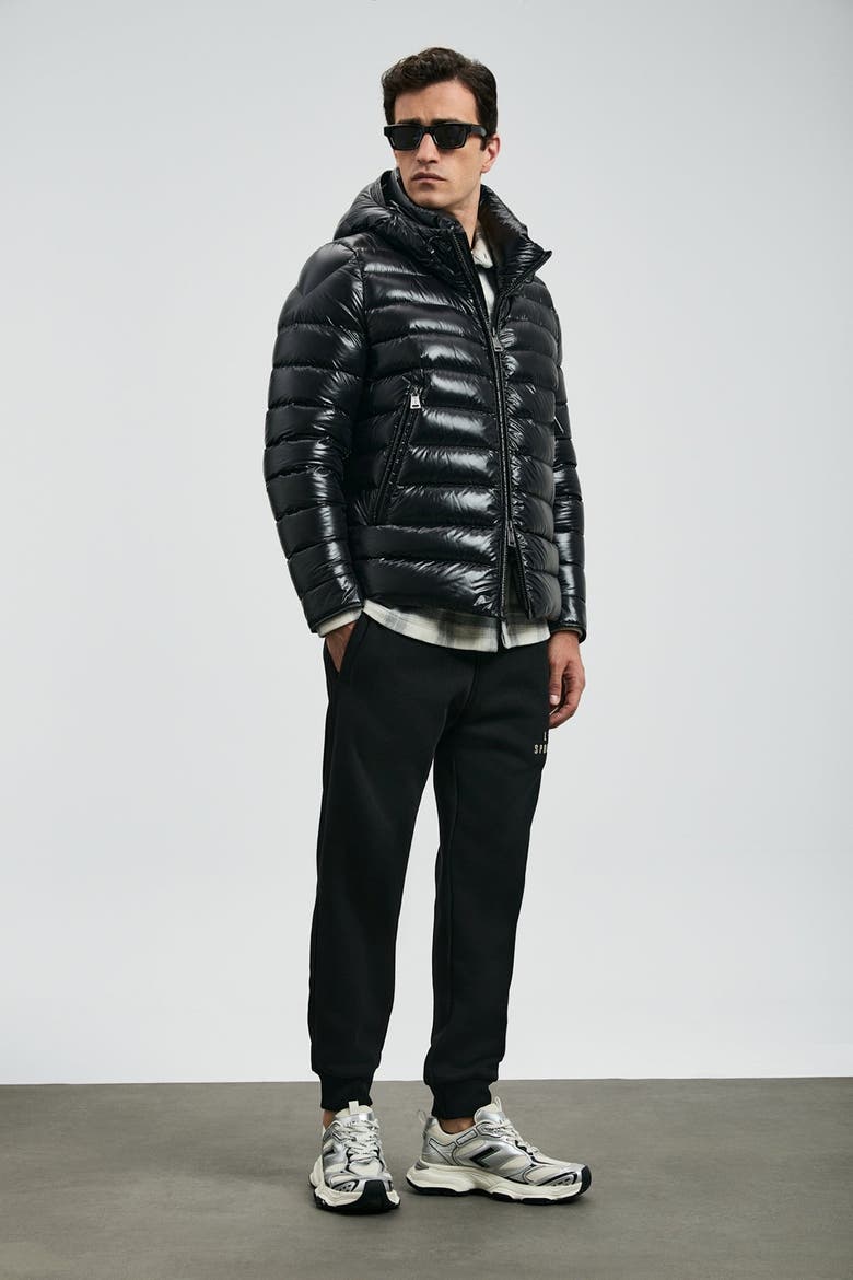 Gabriel Men's Shiny Goose Down Puffer Jacket, Alternate, color, Black
