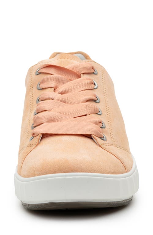Ara Alexandria Suede Sneaker In Orange