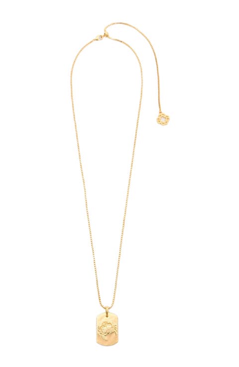 Zodiac sign plaque necklace