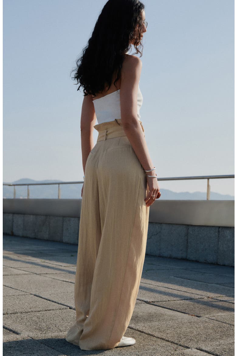 Paperbag Trousers, Alternate, color, BEIGE