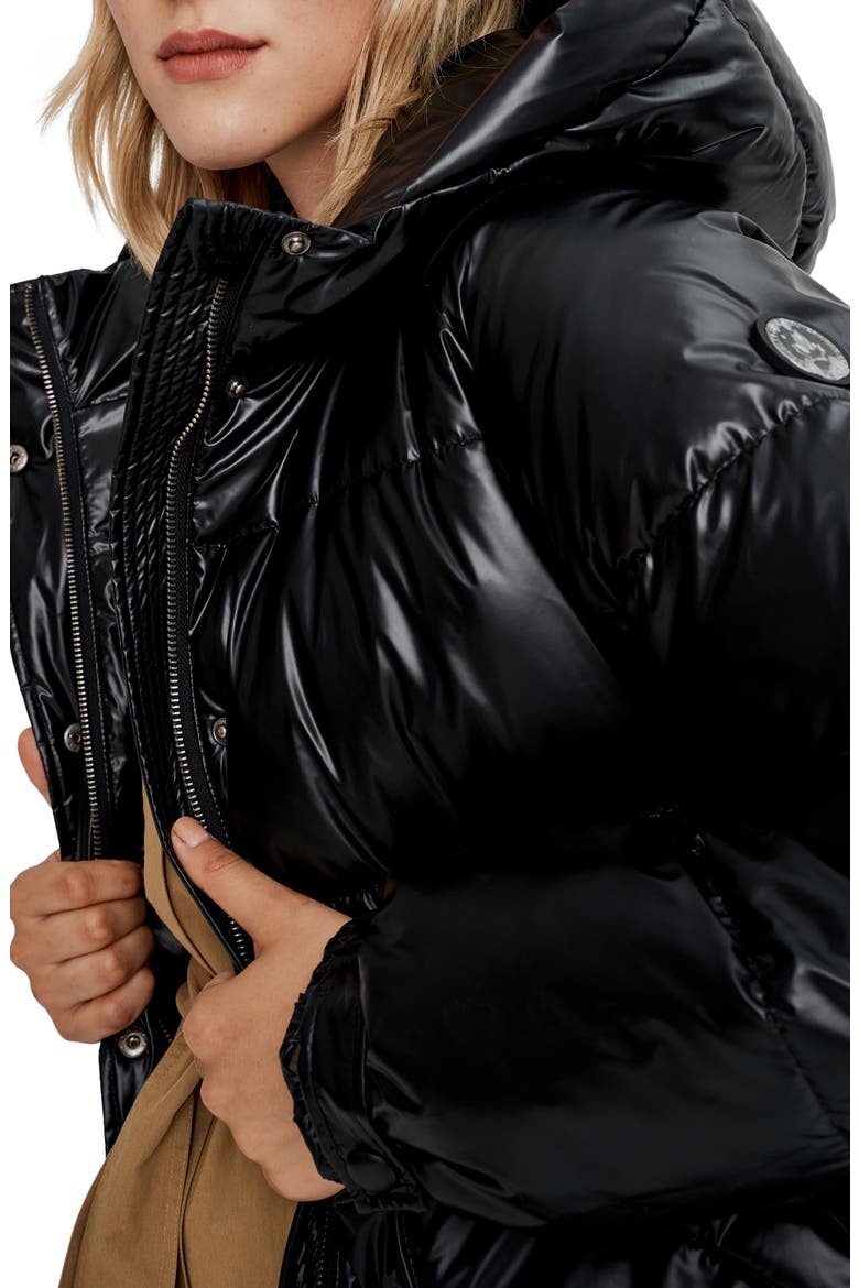 Belted Oversize Hooded Puffer Coat, Alternate, color, BLACK