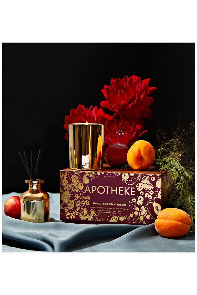 APOTHEKE Apricot Red Currant Mini Scented Candle and Reed Diffuser Duo ...