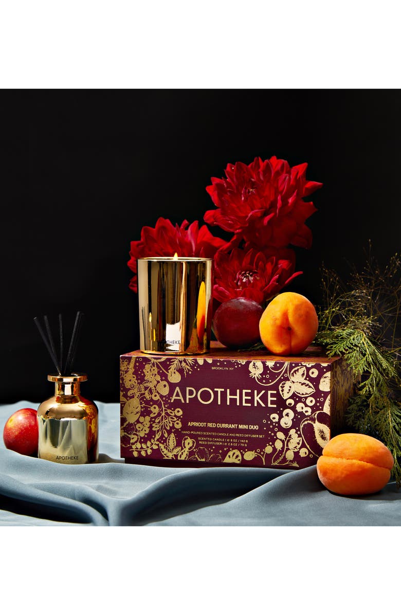 APOTHEKE Apricot Red Currant Mini Scented Candle and Reed Diffuser Duo, Alternate, color, 